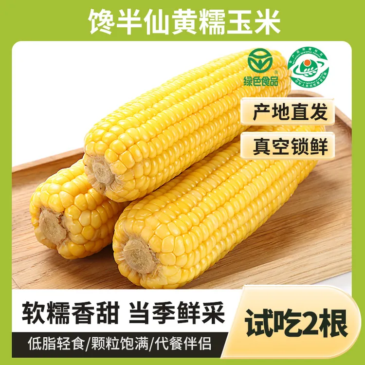 【馋半仙】25年山西黄糯玉米10根黄玉米加热香软糯甜鲜嫩玉米棒220g