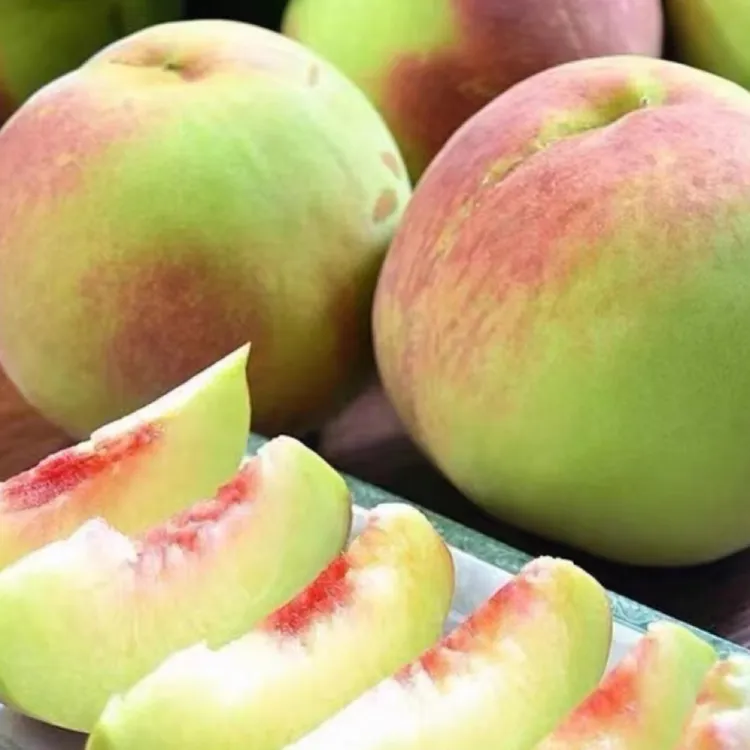 正宗青州蜜桃冬桃脆甜毛桃新鲜水果现摘现发净重五斤桃子