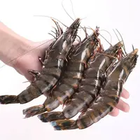 X精品A级 20-30规格黑虎虾 3斤/盒 速冻锁鲜 顺丰冷链发货