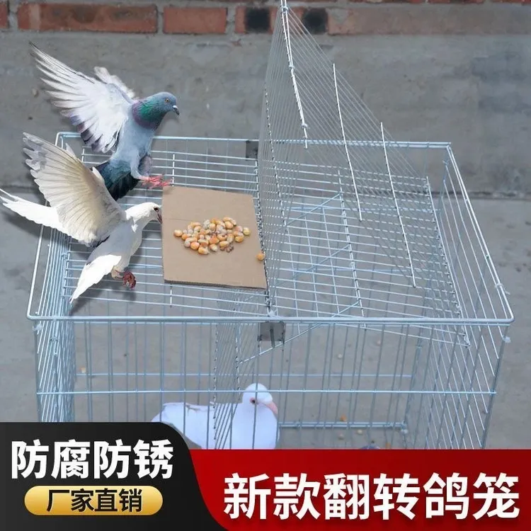 【翻转笼】新品翻转笼镀锌网纯手工制作养殖笼养鸽子专用笼机械五金商品图