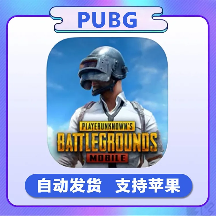 pubg 国际服 绝地求生 刺激战场 手机游戏安装服务