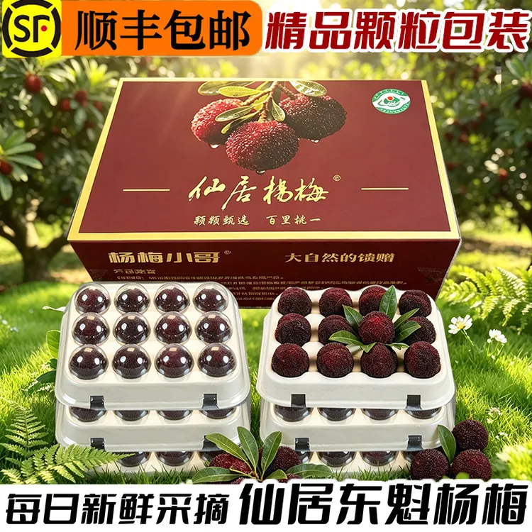 现货现摘】正宗仙居东魁杨梅新鲜60颗72颗水果新鲜顺丰包邮礼盒装商品图