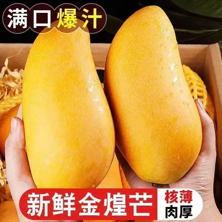 【正宗金煌芒】云南金煌芒黄皮大芒果特大水仙芒大芒果10斤z1