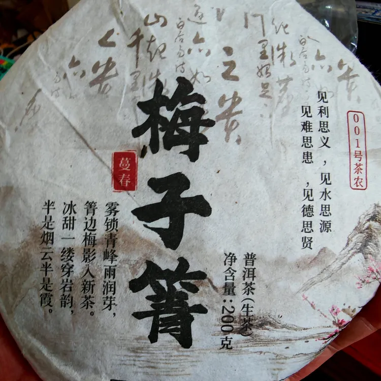 梅子箐普洱生茶2024年头春古树回甘生津持久普洱茶饼回甘