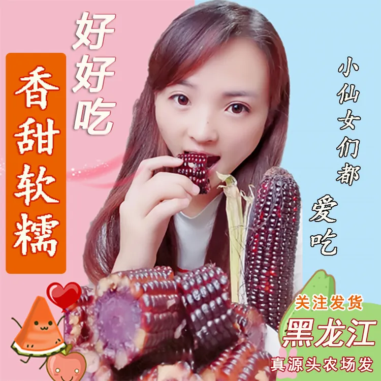 新25年头茬6-7斤】源头东北黑糯玉米甜糯玉米棒无添加早餐真空熟