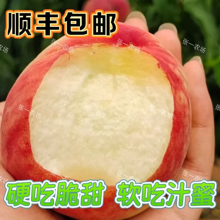 【顺丰包邮】湖北枣阳水蜜桃自然成熟脆甜多汁现摘现发水蜜桃脆甜