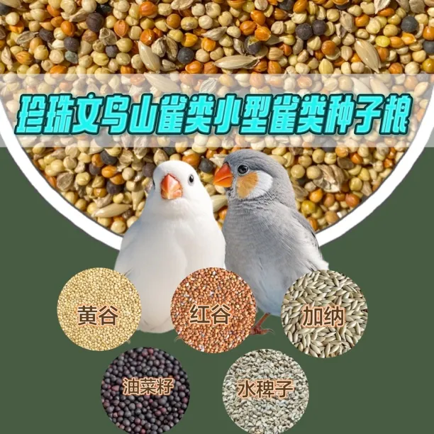 珍珠文鸟牧师保姆黄雀玉鸟金青雀类鸟食纯宠物粮食批发鸟食草籽
