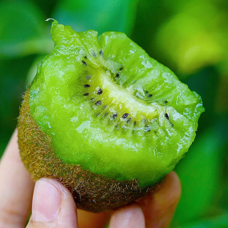 陕西徐香猕猴桃绿心猕猴桃国奇异果新鲜水果