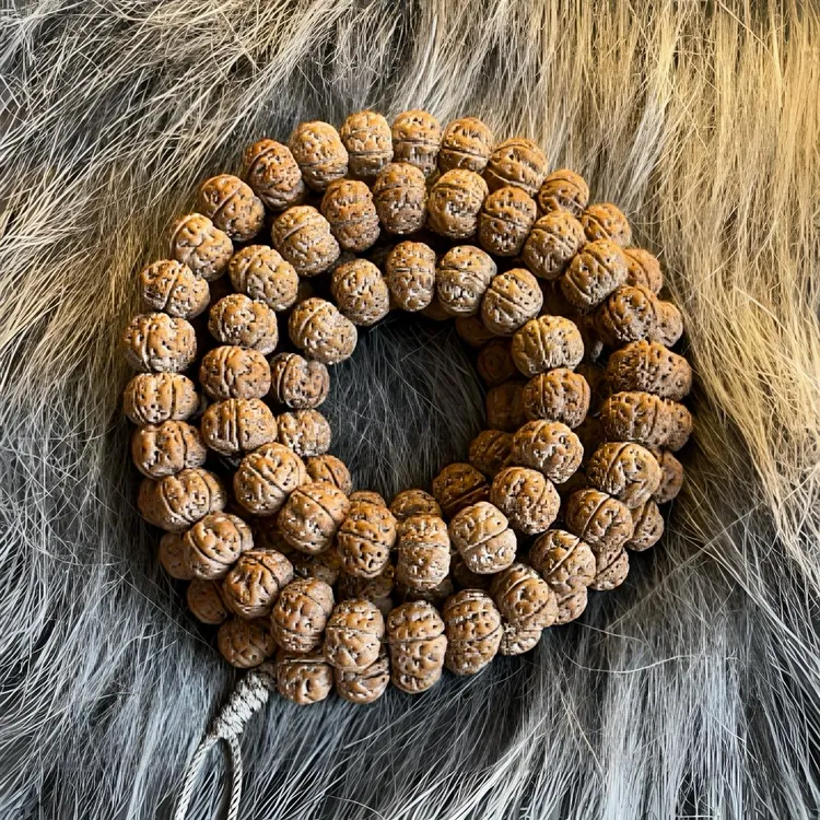 10尺树王小金刚108颗（附带被籽）