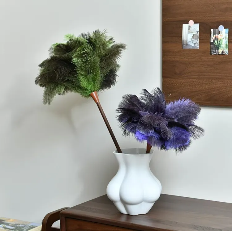 驼鸟毛除尘掸子加长羽毛可伸缩家用美学摆件实用观赏价值并存