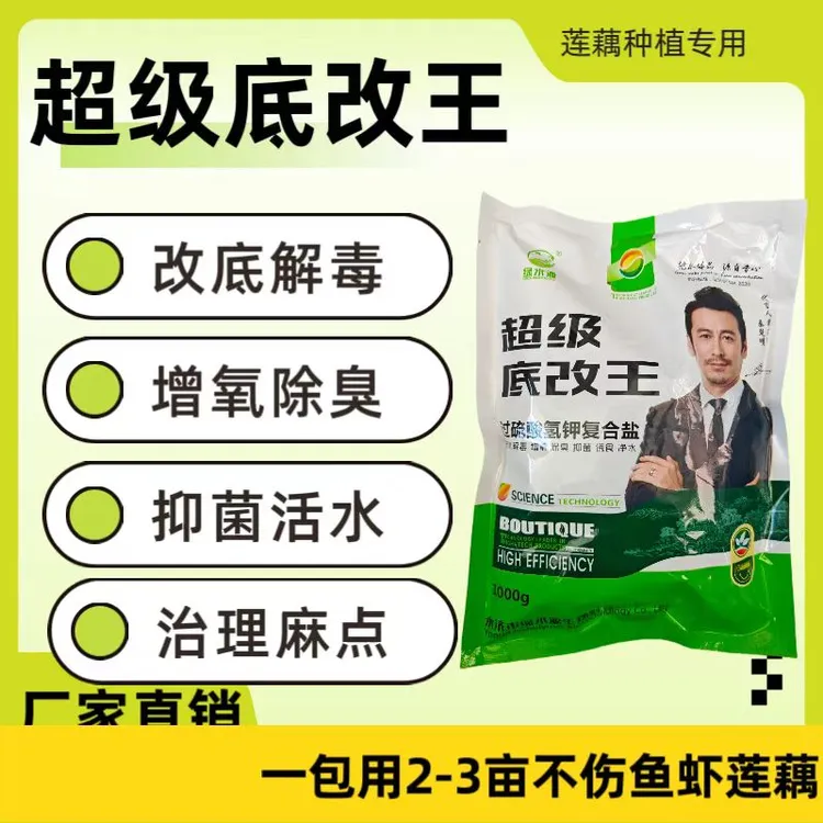 底改王水产养殖净水抑制有害菌莲藕麻点麻筋有突出效果2亩用量