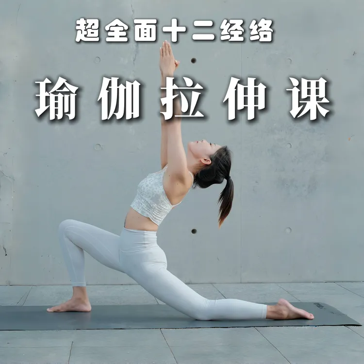 十二经络拉伸12节视频课