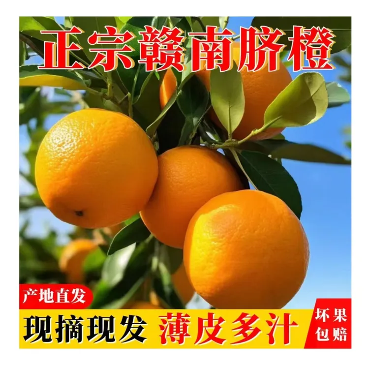 【产地直发】正宗赣南脐橙果园直发新鲜当季10斤装水果好吃手剥甜橙