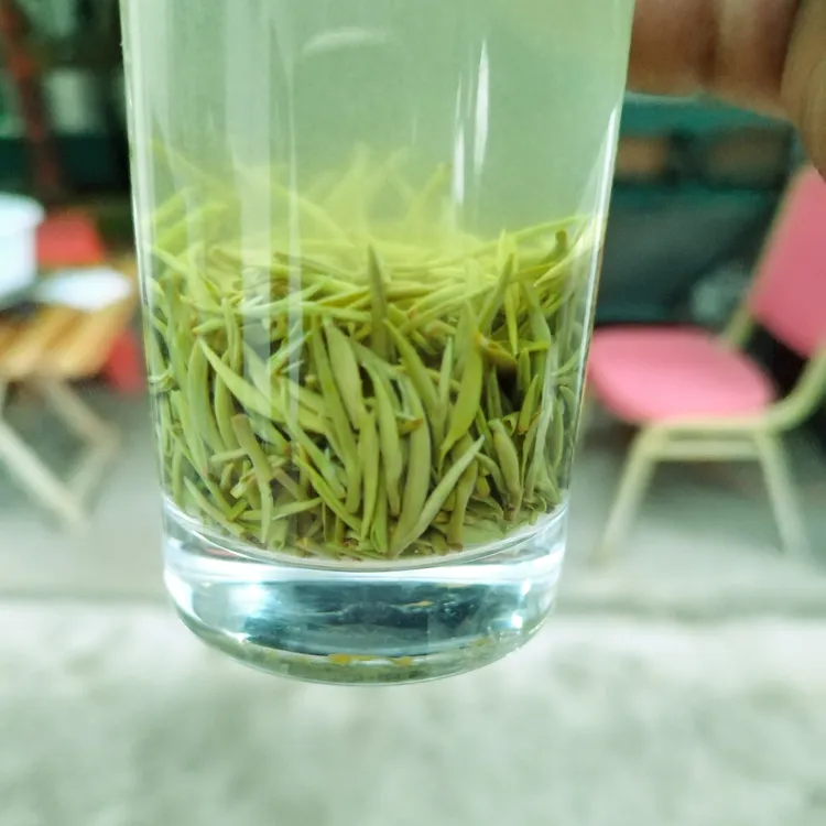 信阳毛尖雨前小芽清香浓郁回甘持久奈泡！