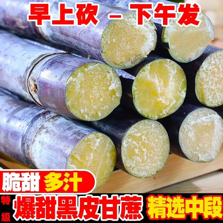 正宗广西黑皮甘蔗新鲜水果紫皮甘蔗脆甜多汁现砍现发3/5/9斤甜杆