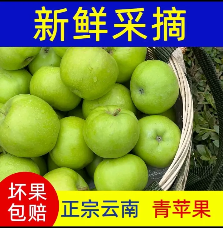 昭通苹果昭通头茬现摘青苹果新鲜应季水果