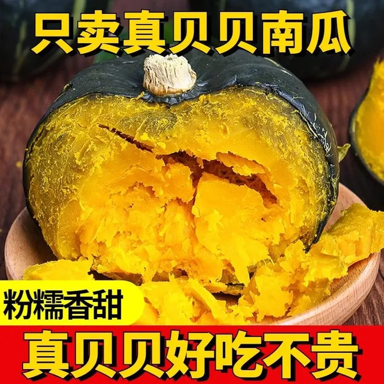 正宗贝贝南瓜粉糯香甜板栗味宝宝辅食健康粗粮商品图