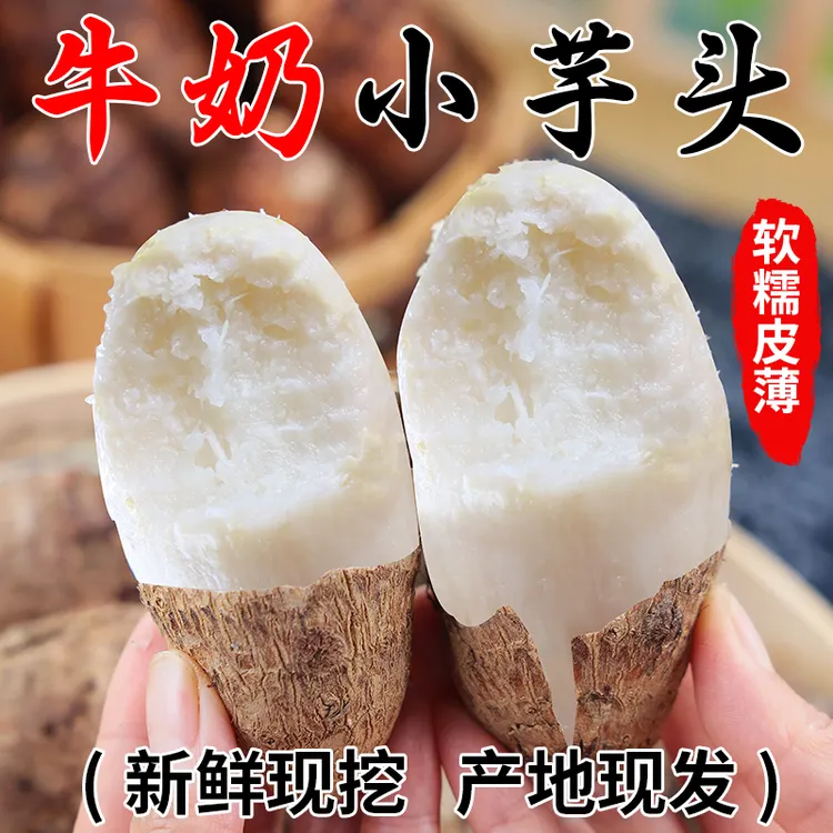 【新鲜现挖】云南自种牛奶小芋头毛芋头软糯香甜香芋当季蔬菜芋艿