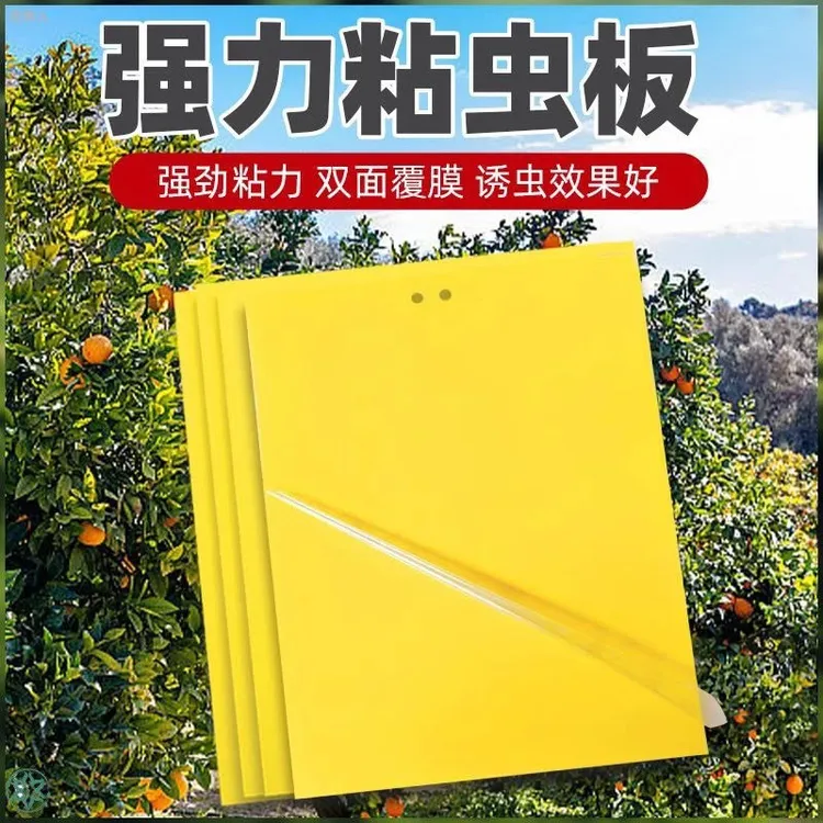 双面粘虫板果蝇诱虫板菜地驱虫驱蚊蝇针蜂苍蝇防虫贴蓟马黄板