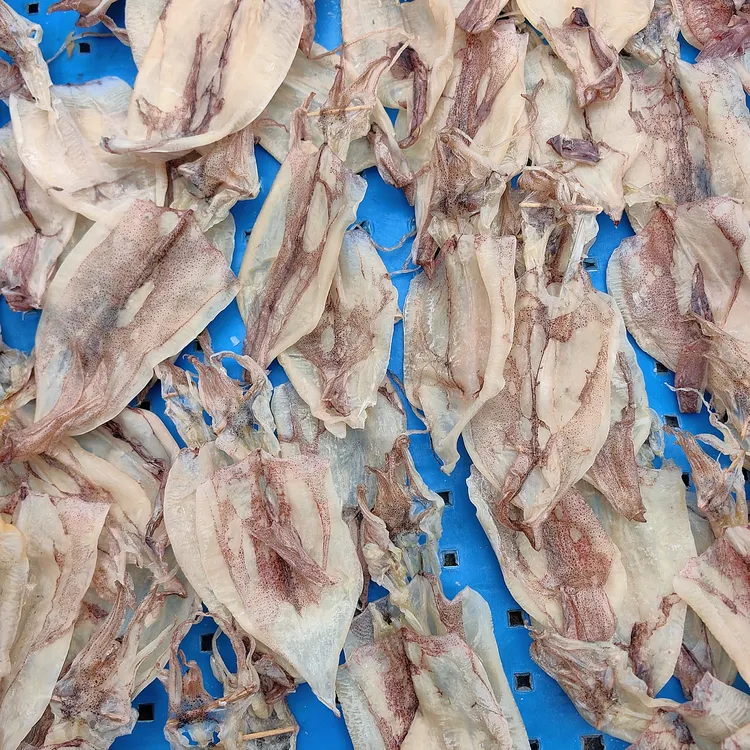 本港新鲜鱿鱼干可香煎手撕适合炒菜煲粥的营养海产品