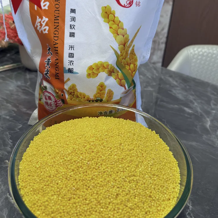 大黄米（宁夏新大黄米）