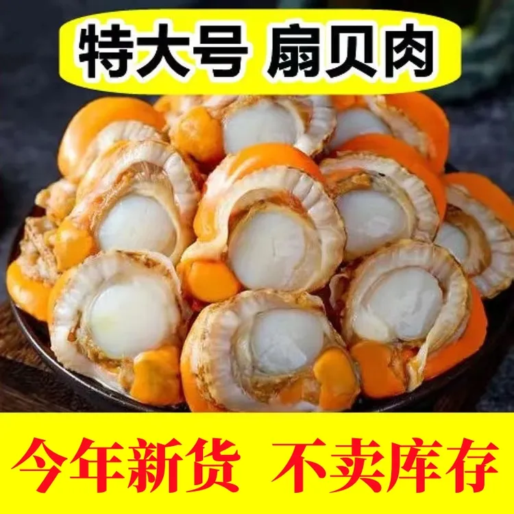 【到手五斤】无泥无沙新鲜熟冻扇贝肉炒菜饱满/60-80粒/斤带保护冰