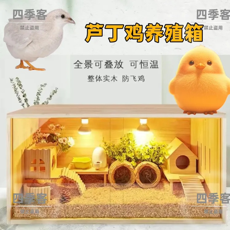 芦丁鸡饲养箱育雏养殖专用双开门恒温造景家用仓鼠窝笼子实木工艺