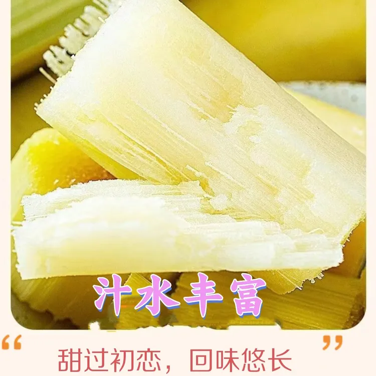 【勐玛山】云南黄金甘蔗脆甜多汁孕妇当季新鲜水果黄皮甘蔗脆甘蔗