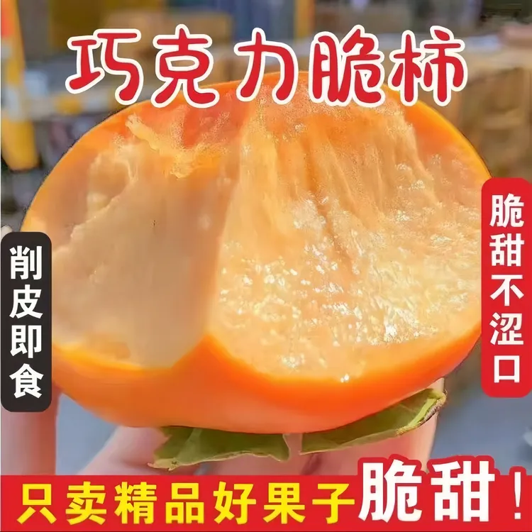 FG 现摘正宗阳丰脆柿新鲜巧克力脆柿子 坏果包赔 纯甜不涩口香甜
