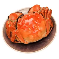 【活蟹】江苏大闸蟹4两-4.3两/母蟹9只 （礼盒包装）