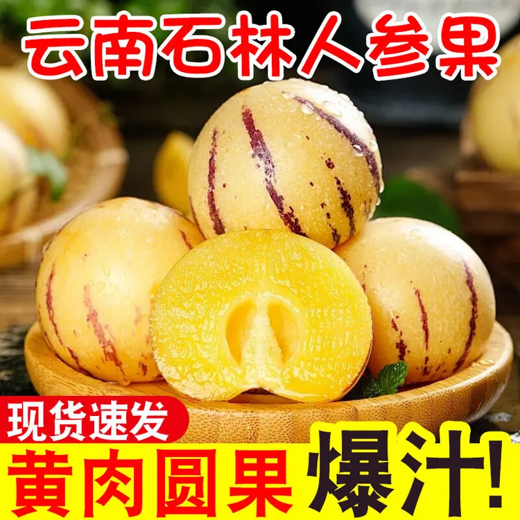 正宗云南人参果石林树上熟黄肉圆果新鲜应季水果清甜大果孕妇水果