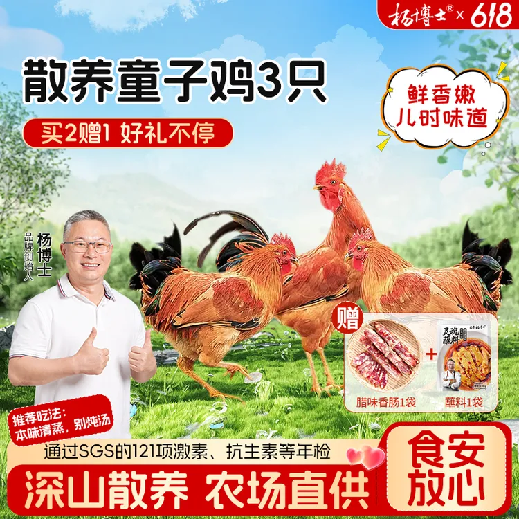 【食安放心童子鸡】杨博士皖南深山放养土鸡仔公鸡清蒸香嫩鲜营养商品图