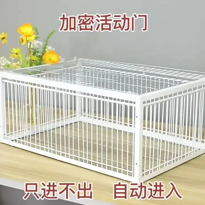 防锈加密养家禽笼抓鸡神器鸽笼家禽养殖笼天落笼鸽子养殖笼撞门笼