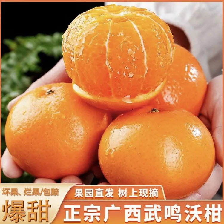 【正宗广西武鸣沃柑】新鲜水果当季整箱沙糖蜜橘砂糖柑橘桔子橘子xm