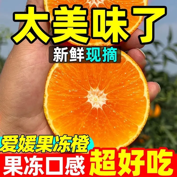 四川爱媛38号果冻生鲜橙新鲜采摘皮薄橙子橘子香甜多汁果肉细嫩
