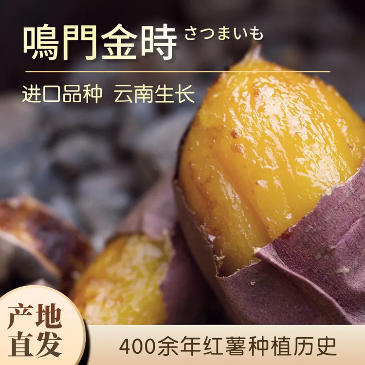 【鸣门金时蜜薯】免洗正宗黄心红薯蜜薯软糯香甜榴莲红薯蜜薯