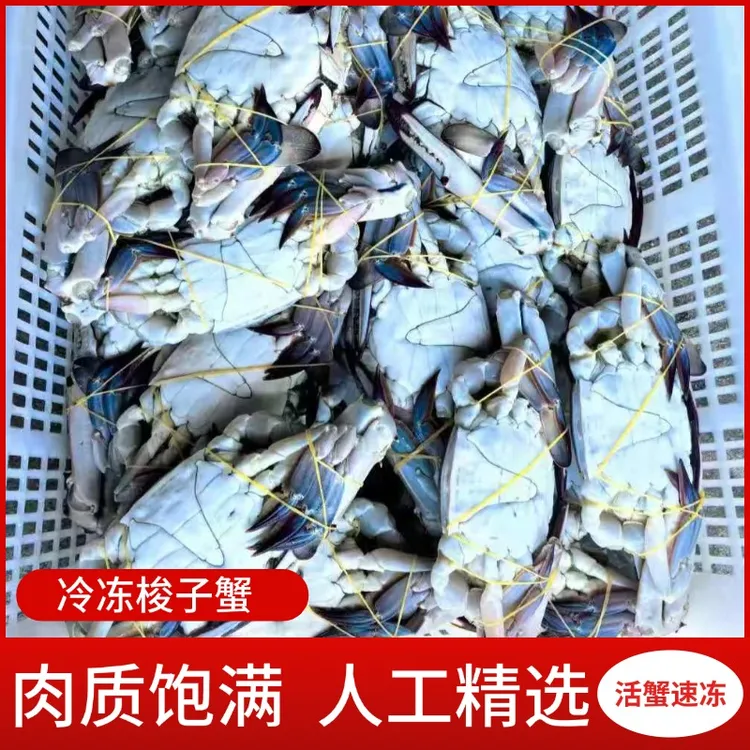 【冻蟹】鲜活速冻梭子蟹5斤装冷冻活海蟹鲜活海鲜公蟹5-7两单只