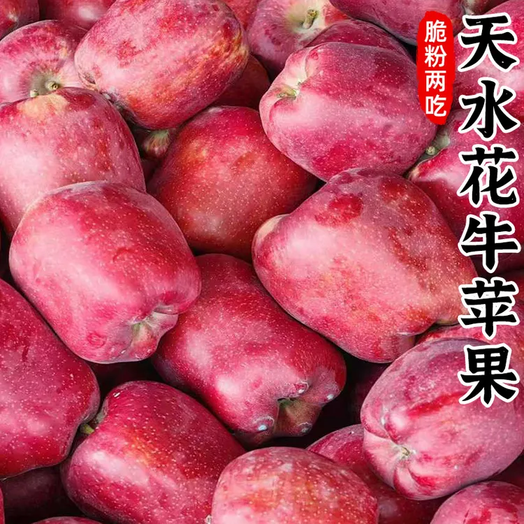 【脆粉两吃】甘肃天水花牛苹果3-9斤红蛇果新鲜水果小苹果红苹果