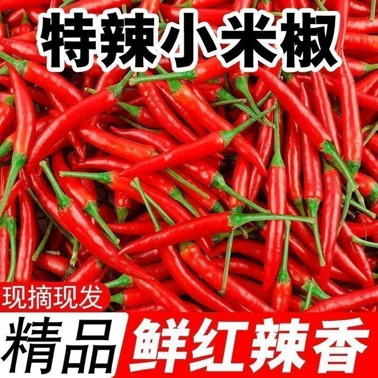 正宗云南新鲜小米辣鲜椒特辣泡椒椒魔鬼椒朝天椒指天椒红米辣现摘