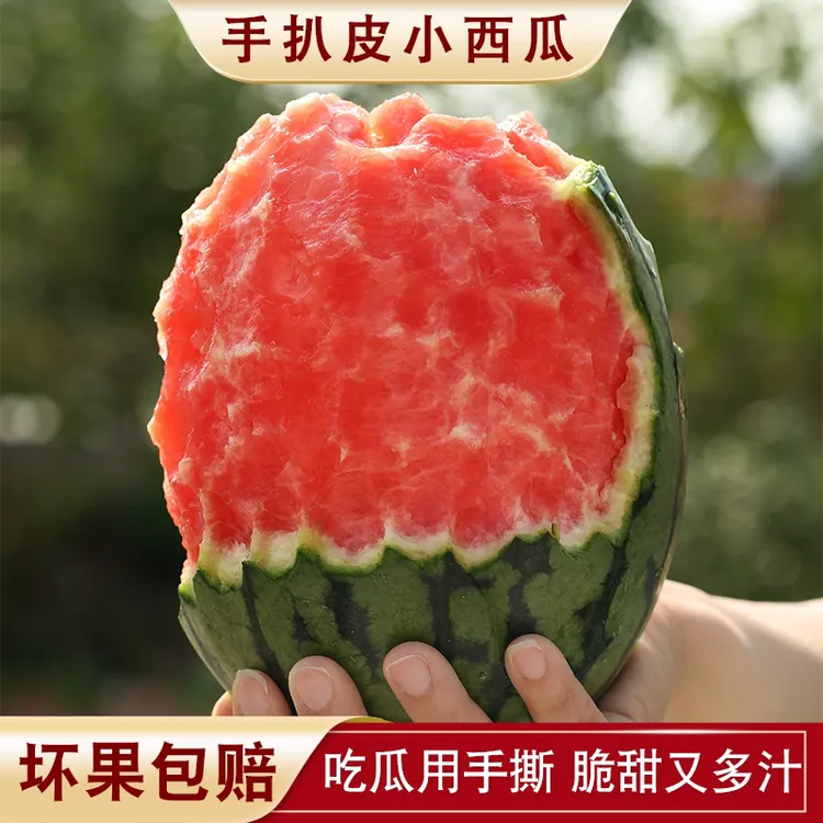 新鲜红瓤薄皮手撕西瓜小糖丸当季新鲜水果