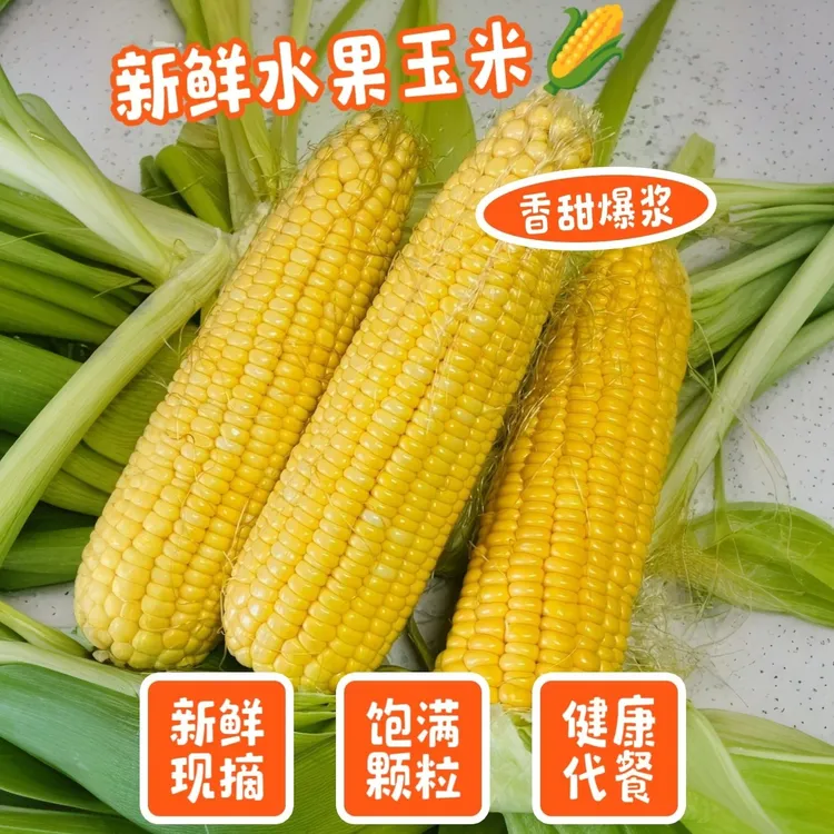 云南水果甜玉米新鲜玉米清甜多汁适合榨汁蒸煮农家黄金玉米