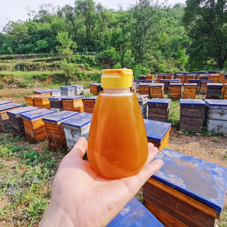 枣花蜜挤压瓶一斤装 农家自产纯蜂蜜 酸枣蜜