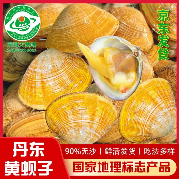 【保鲜保活】正宗丹东东港鲜活大黄蚬子90%无沙20-25个/斤 京东发