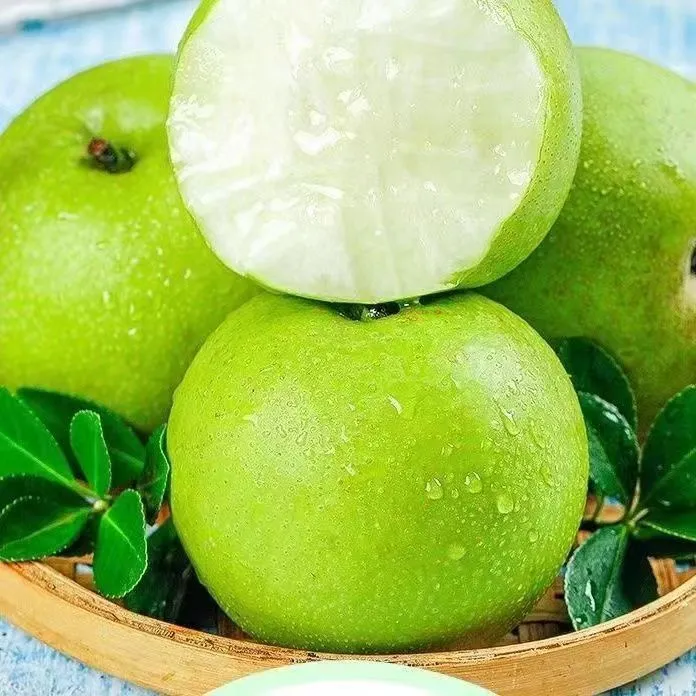 砀山翠冠梨青皮蜜梨皮薄汁多甘甜可口果肉细腻无渣新鲜采摘砀山梨