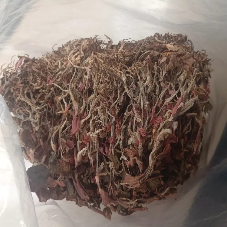 佛冈时时好运农产品种植整株小叶金线莲500克干品