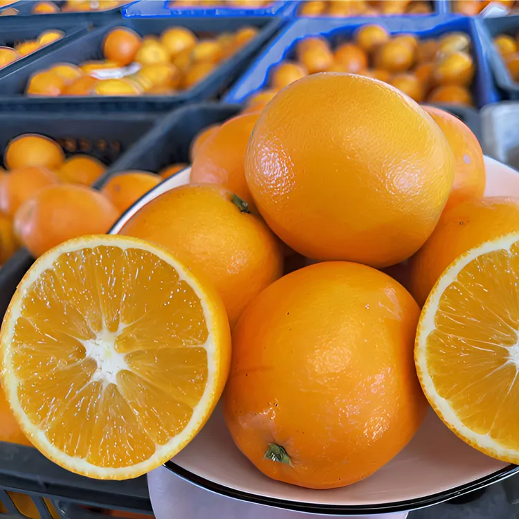 冰糖橙正宗湖南芷江果园直发产地新鲜水果大果助农甜