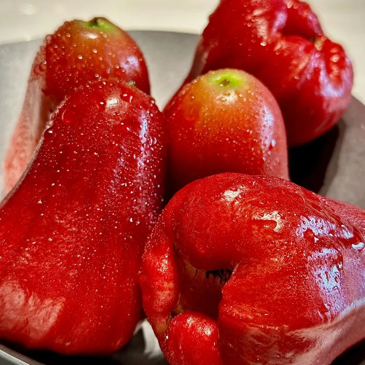 树上熟【顺丰】海南黑金刚莲雾夏天水果新鲜当季孕妇老人儿童辅食