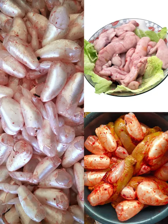 《顺丰冷链》《鱼杂组合》鱼泡鱼白鱼籽新鲜现取鲤鱼籽鲤鱼杂混搭装