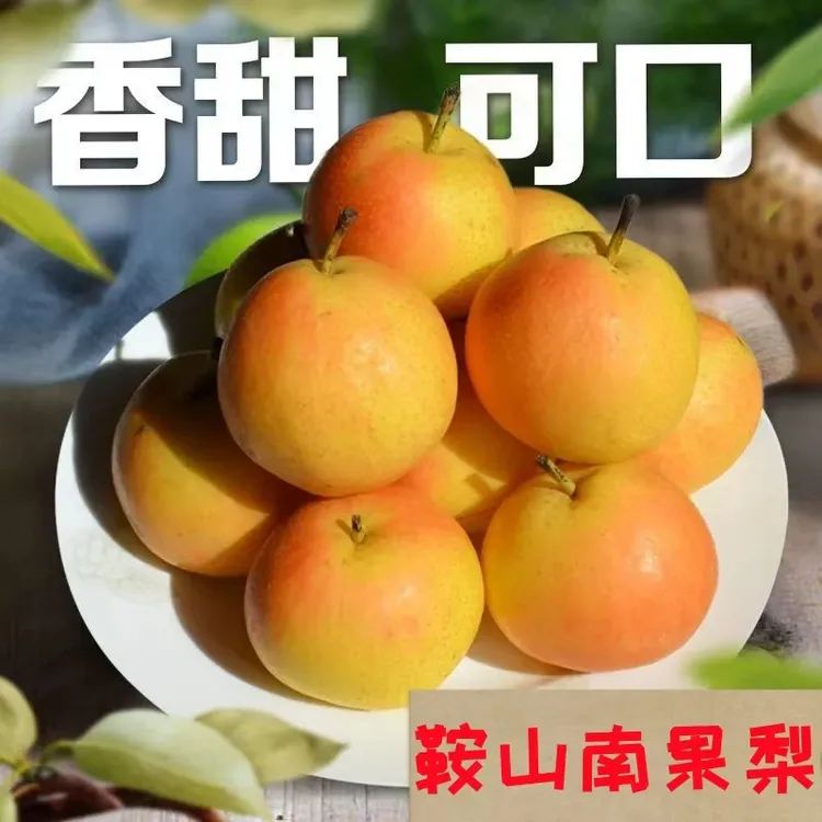 【鲜头茬】辽宁鞍山南果梨细腻多汁清甜爽口果园直销当季热卖水果