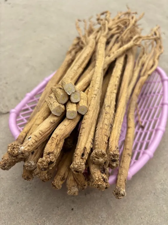 甘肃正宗党参条搭配当归黄芪无硫无熏煲汤优质中药材原料